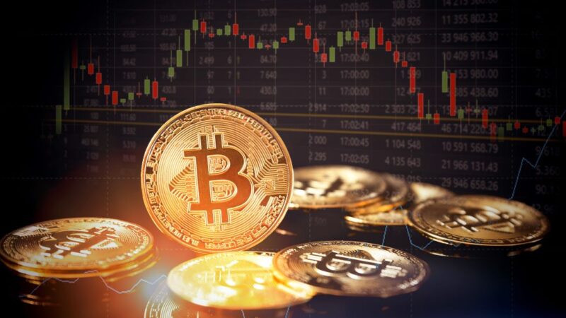 roarcultable latest crypto trends from riproar